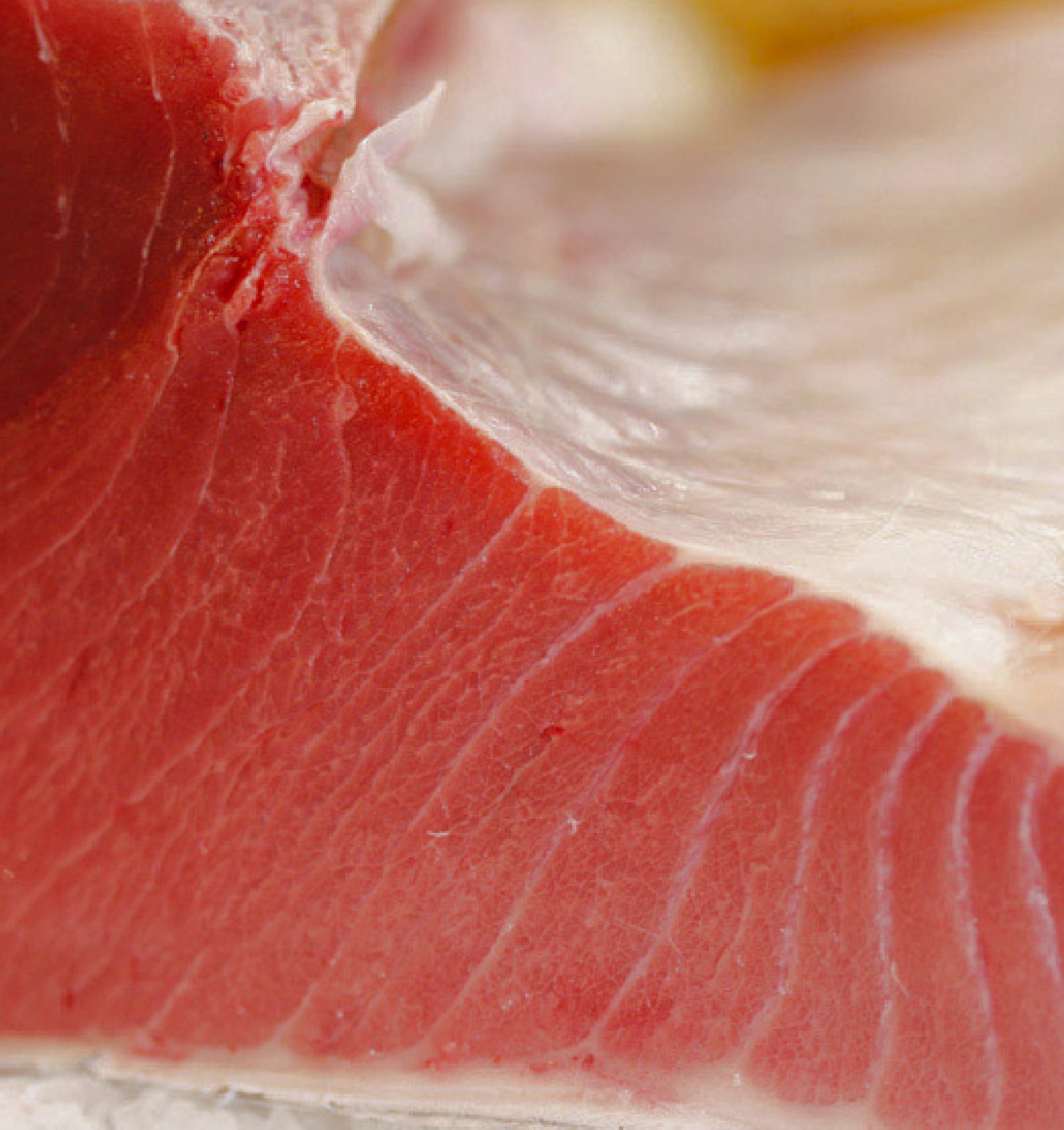 マグロの切り身